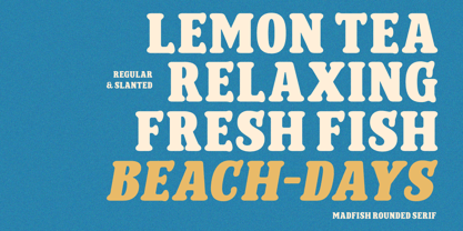 Madfish Font Poster 5
