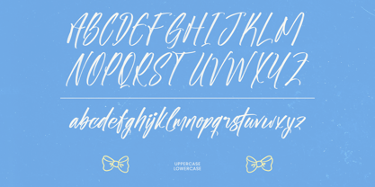 Shade Crush Font Poster 14