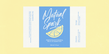 Shade Crush Font Poster 9