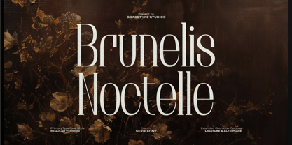 Brunelis Noctelle Font Poster 1