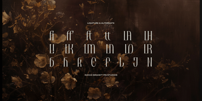 Brunelis Noctelle Font Poster 12