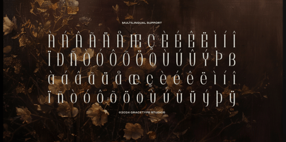 Brunelis Noctelle Font Poster 11