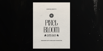 Brunelis Noctelle Font Poster 3