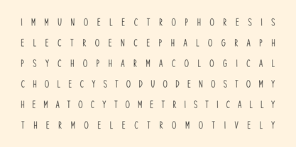 Queenie Font Poster 9