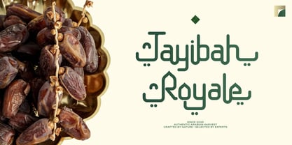 Nouriyah Font Poster 4
