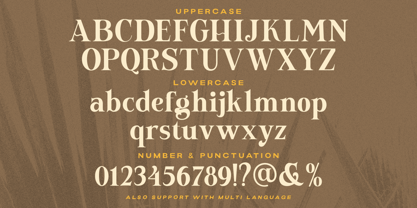 Newfield Font Poster 8