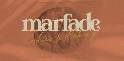 Newfield Font Poster 10