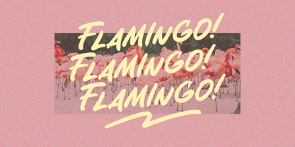 Melina Davidson Font Poster 11