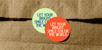 Bright Renew Font Poster 12