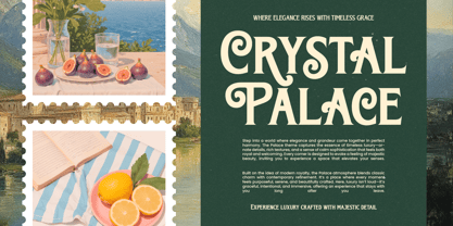 Bright Renew Font Poster 8