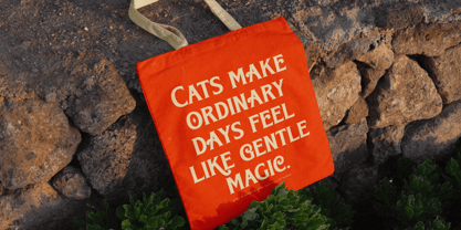 Bright Renew Font Poster 5