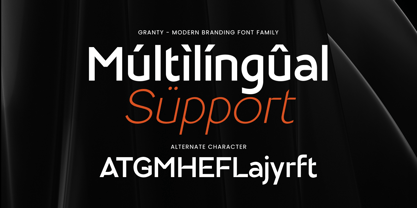 Granty Font Poster 11