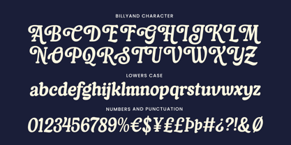 Billyand Font Poster 13