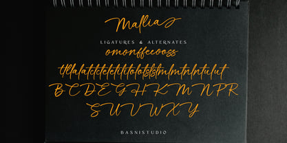 Mallia Font Poster 10