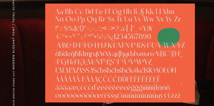 Asheya Font Poster 15