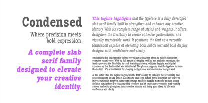 Pano Slab Font Poster 2