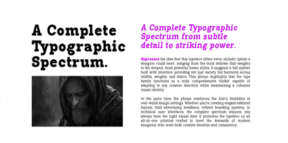 Pano Slab Font Poster 6
