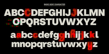 ZT Hoky Font Poster 9