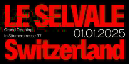 ZT Hoky Font Poster 2