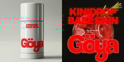 ZT Hoky Font Poster 11