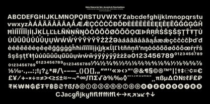 ZT Hoky Font Poster 13