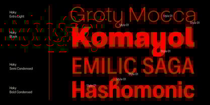 ZT Hoky Font Poster 6