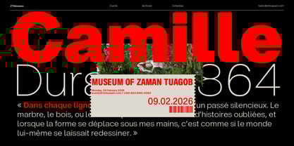 ZT Hoky Font Poster 10