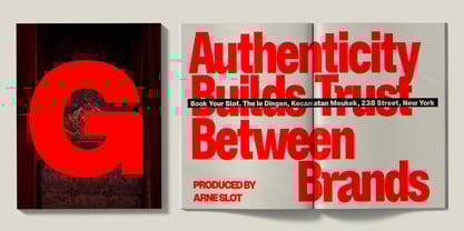 ZT Hoky Font Poster 5