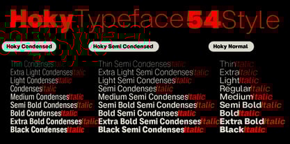 ZT Hoky Font Poster 4