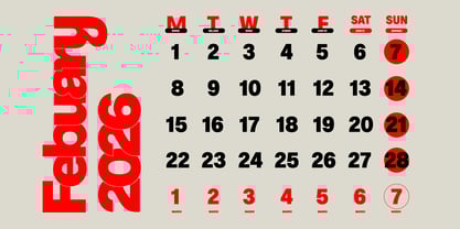 ZT Hoky Font Poster 7