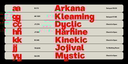 ZT Hoky Font Poster 12