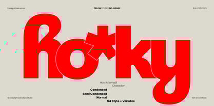 ZT Hoky Font Poster 1