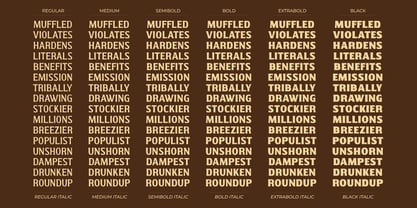 Walver Font Poster 7