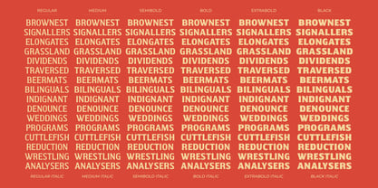 Walver Font Poster 8