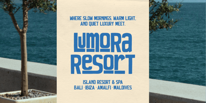 Homie Waves Font Poster 6