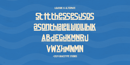 Homie Waves Font Poster 12