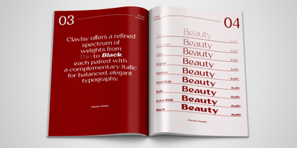 Clavisy Font Poster 3