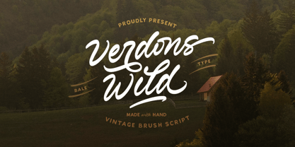 Verdons Wild Font Poster 1