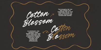 Verdons Wild Font Poster 9