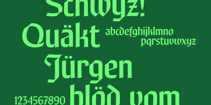 R41 Nova Gotica Font Poster 2