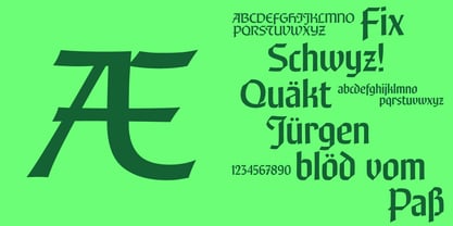 R41 Nova Gotica Font Poster 5