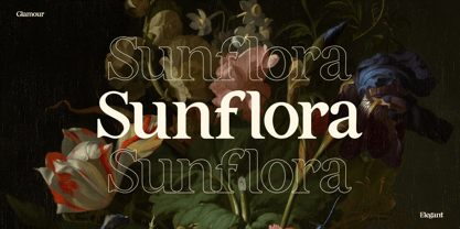 FA Alvensvo Font Poster 5