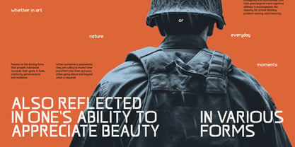 Vantheon Font Poster 5