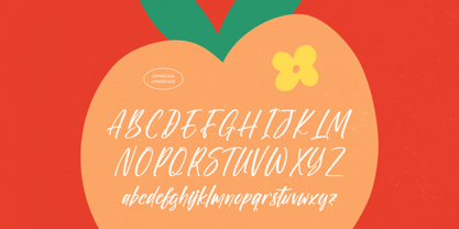 Biteful Market Font Poster 14