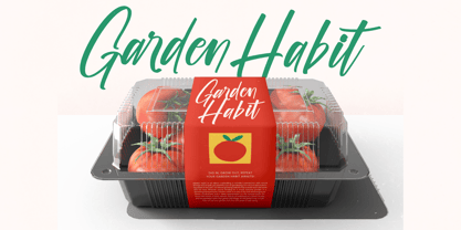 Biteful Market Font Poster 3