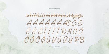 Taniella Roselinn Font Poster 11