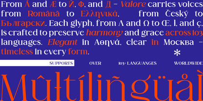 Valore Pro Font Poster 4