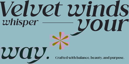 Valore Pro Font Poster 11