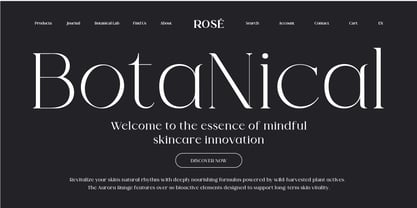 Valore Pro Font Poster 8