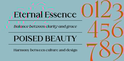 Valore Pro Font Poster 10